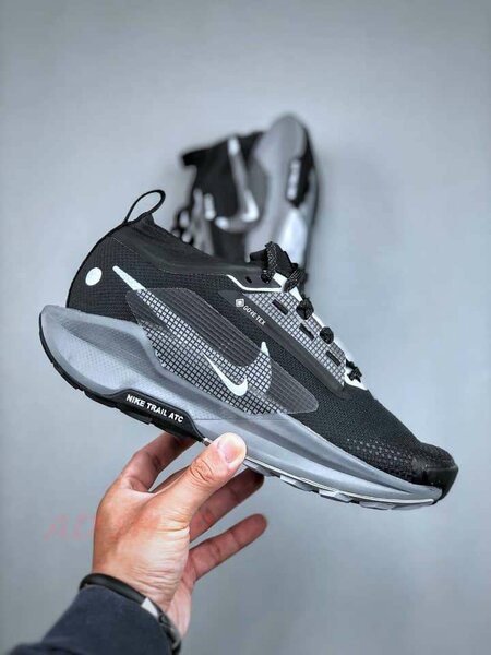 Chaussures de Trail Nike