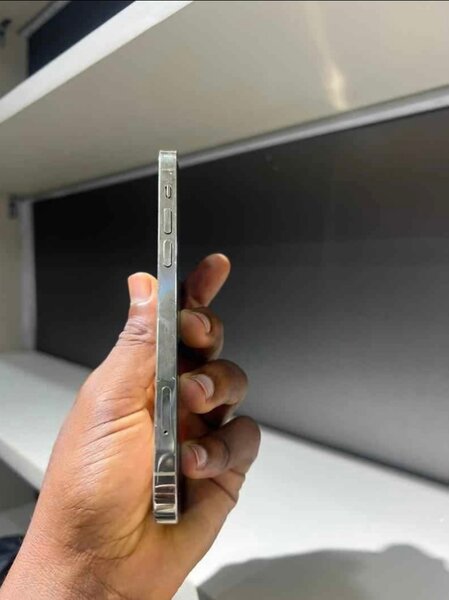 iPhone 12 Pro Max 256 Go