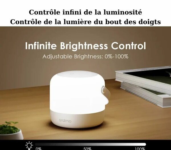 Lampe LED Portable Intérieure