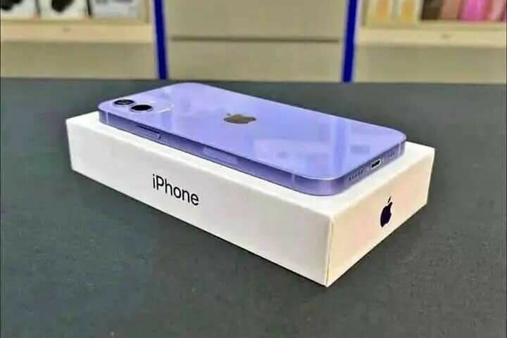 iPhone 12 Pro Max Violet