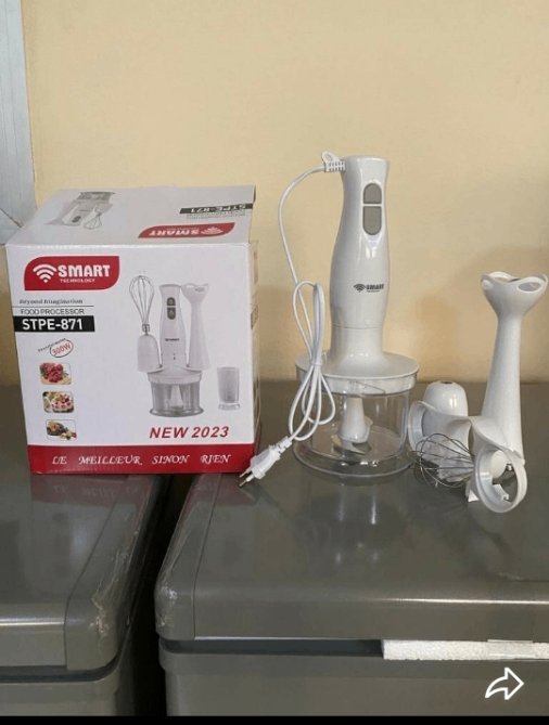 Mixeur plongeant SMART STPE-871