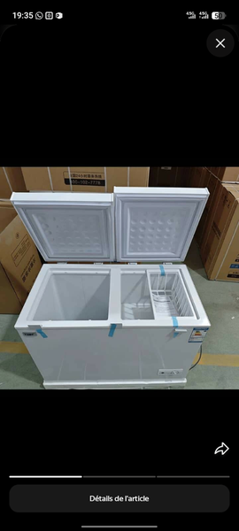 Congélateur Coffre Capacité XL