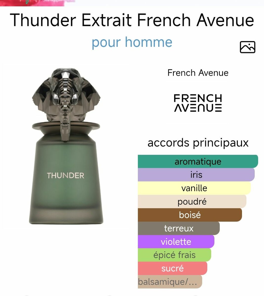 Parfum Homme Thunder Extrait