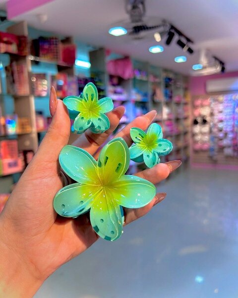 Pince Fleur Colorée