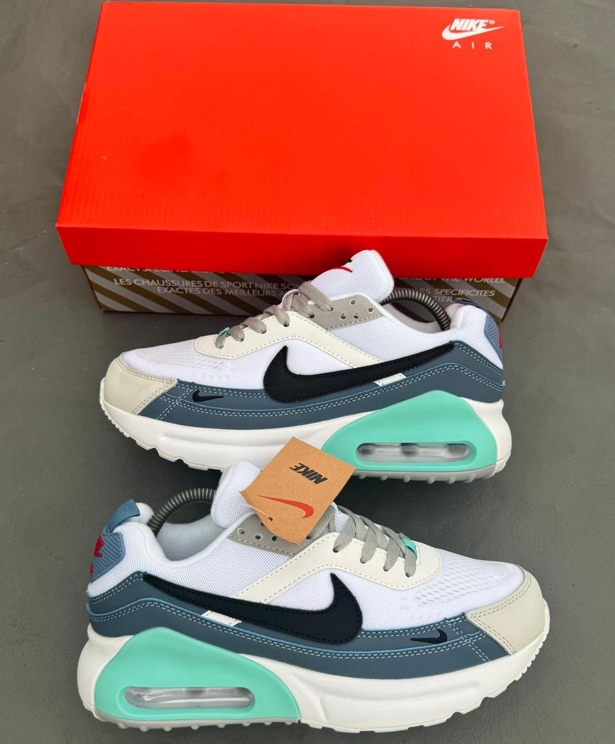 Baskets Nike Air Max homme