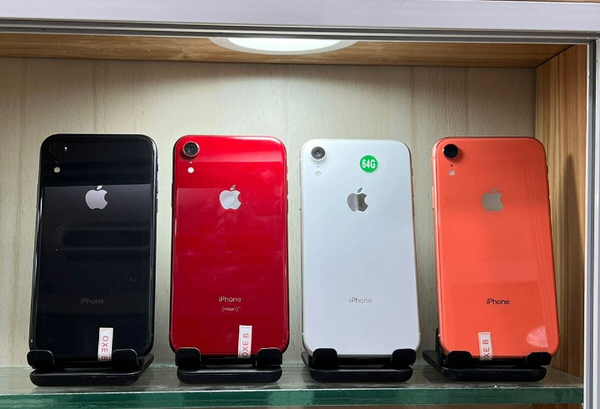 iPhone XR - différentes couleurs
