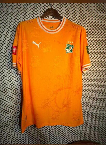 Maillot Côte d'Ivoire Puma