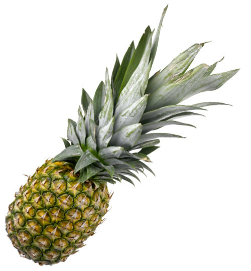 Ananas gros