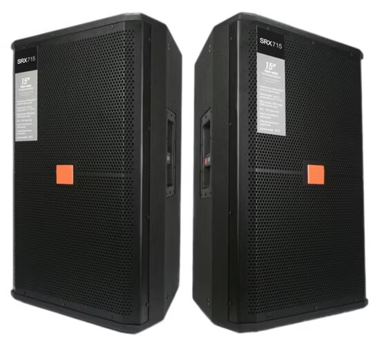 Haut-parleurs JBL de 15 pouces