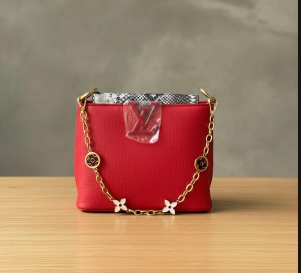 Sac à main élégant LV