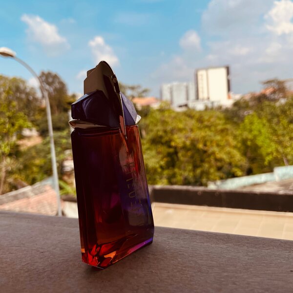 Parfum Énigmatique Intense