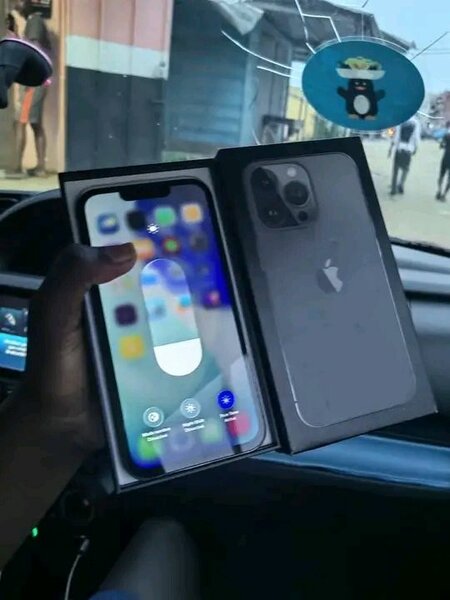 iPhone Pro Max 256 Go