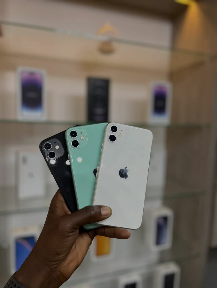 iPhone 11 en Couleurs Variées