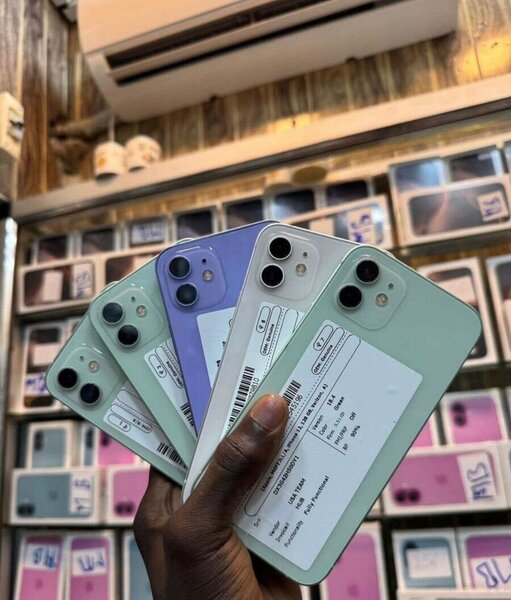 iPhone 12 Mini Multicolore