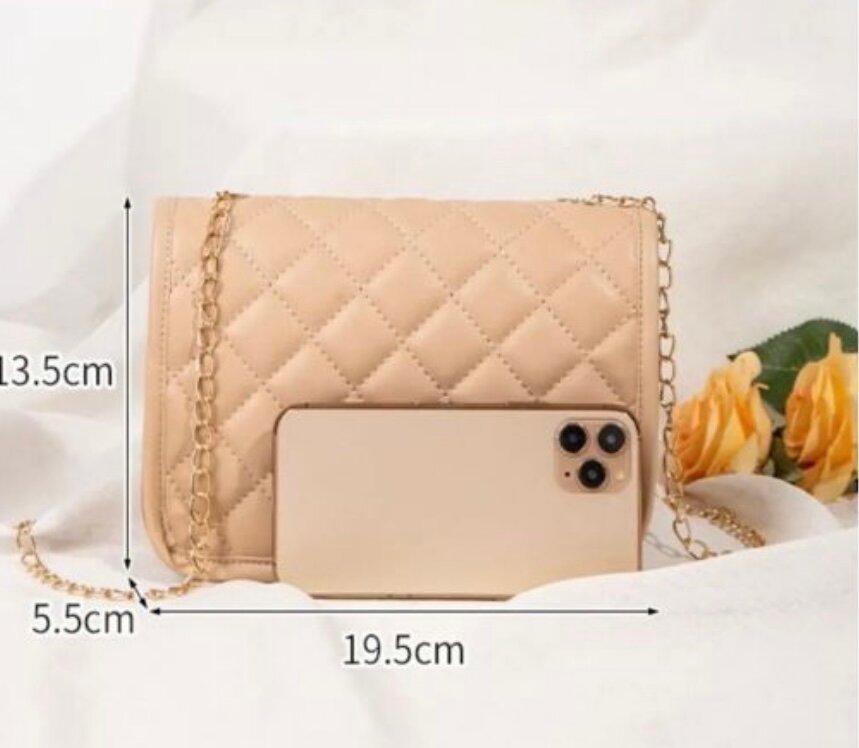 Pochette à chaîne élégante