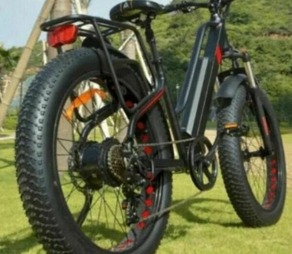 Vélo électrique robuste