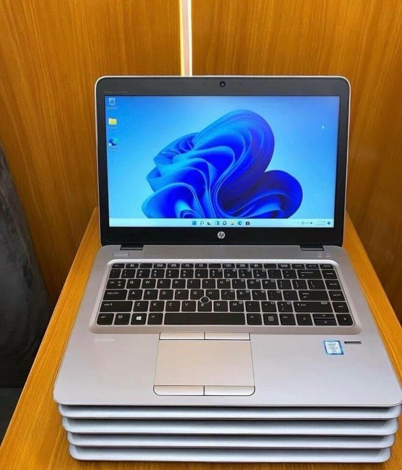 HP ProBook 14 pouces