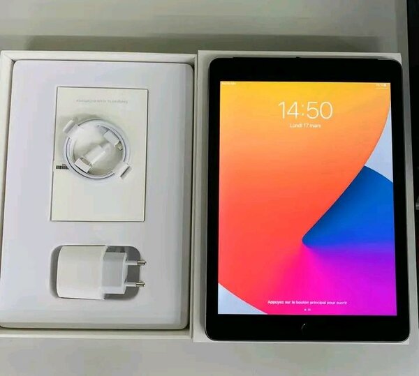 Tablette iPad 10.2 WiFi