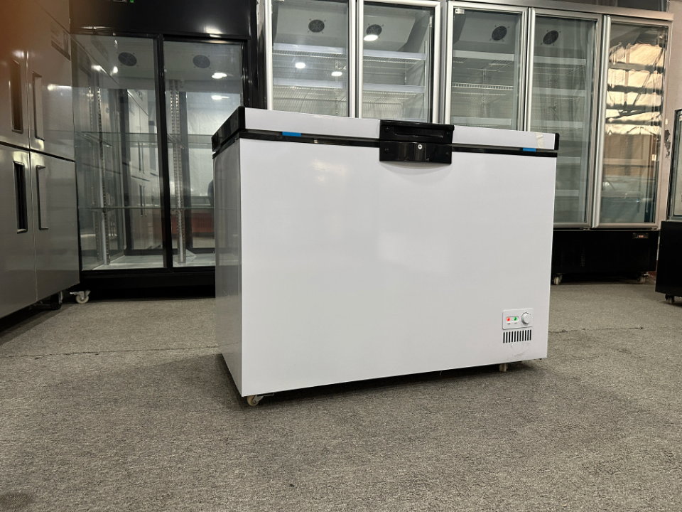 Congélateur coffre grande capacité