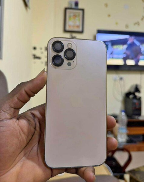 iPhone 12 Pro Max argent