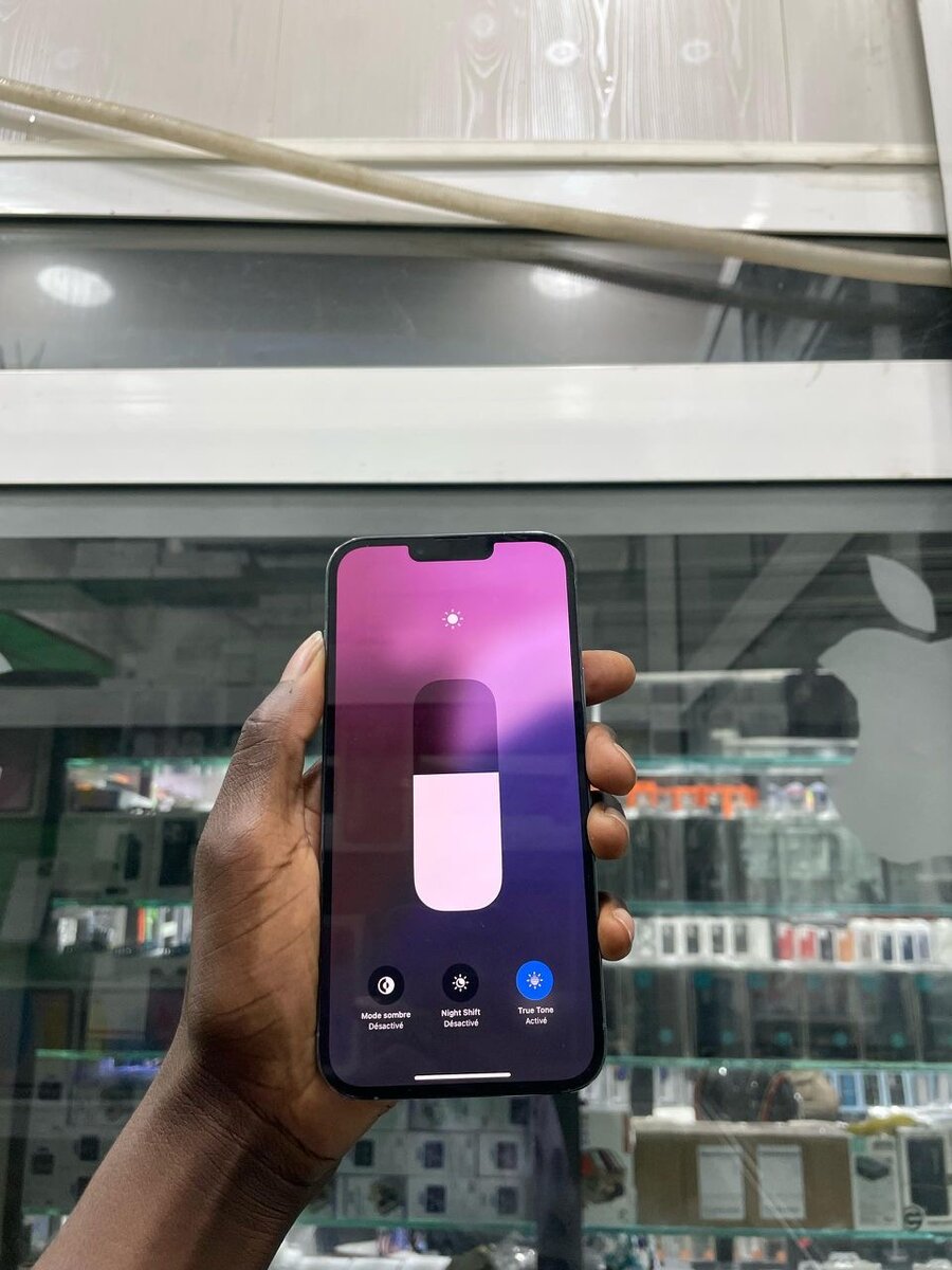 iPhone 13 Pro Max Bleu