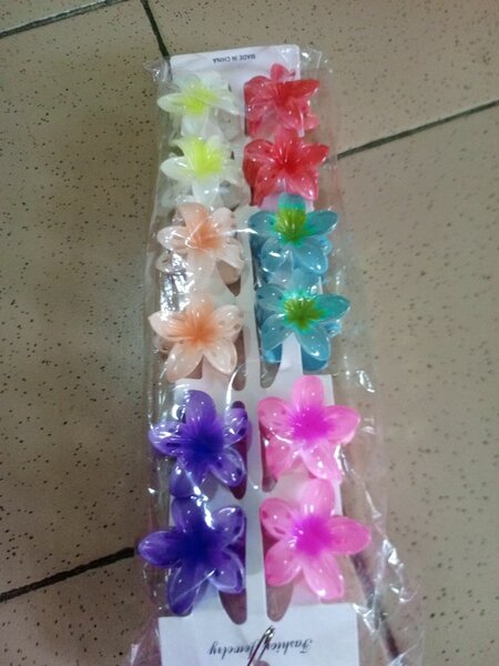 Pinces à cheveux fleurs colorées