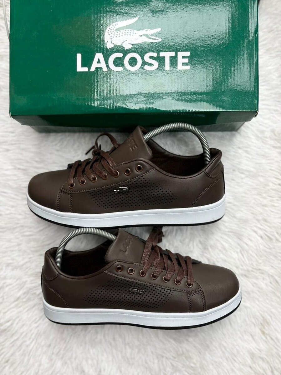 Lacoste Sneakers Marron Homme