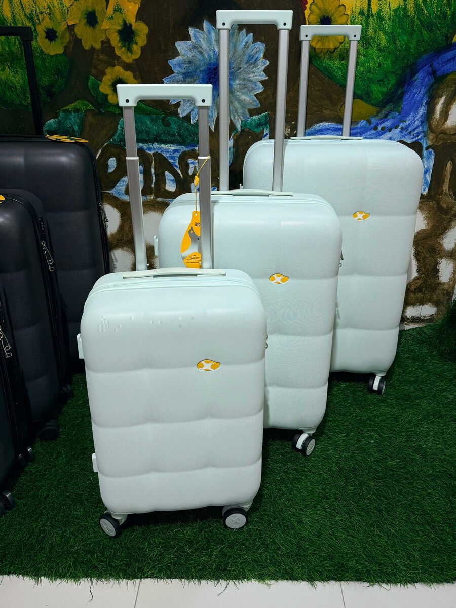 Valise à roulettes élégante
