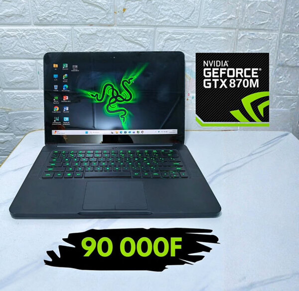 Ordinateur portable Razer avec GTX 870M