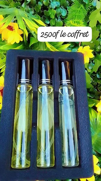 Mini Parfums pour Femme - 3 x 2ml