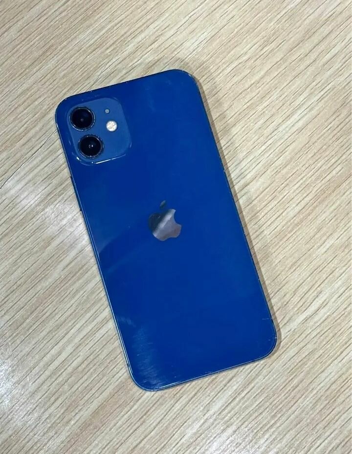 iPhone 12 Bleu