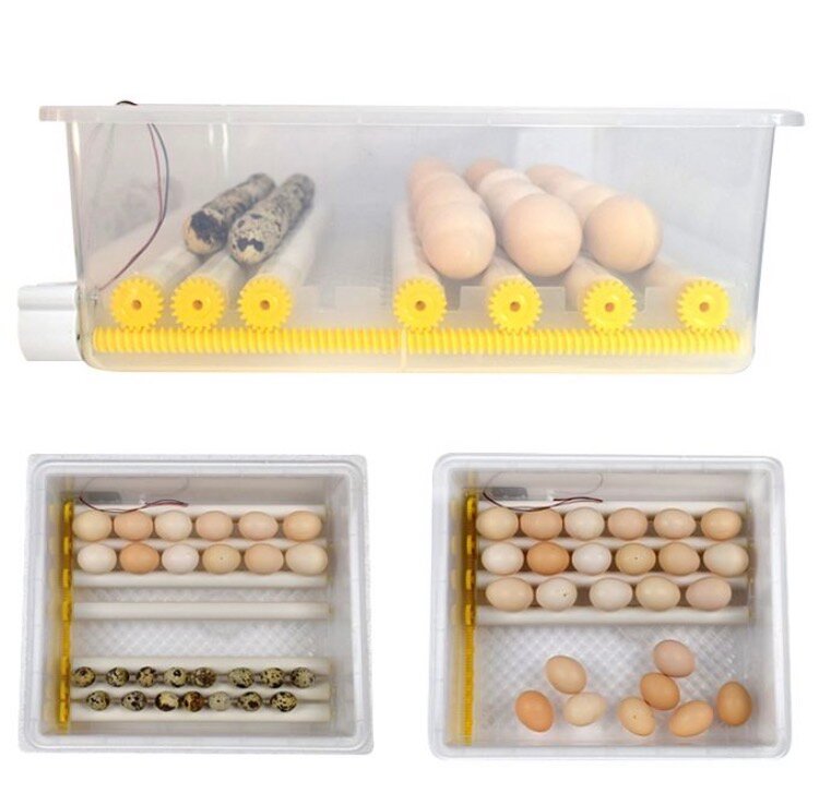 Incubateur d'œufs automatique