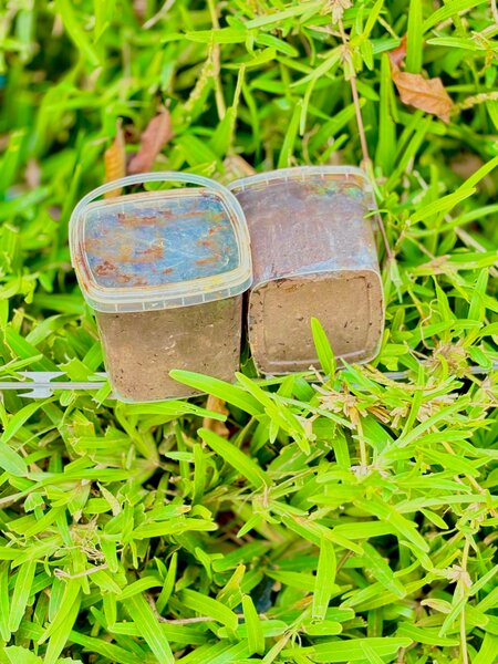 Savons noir tout type de teint