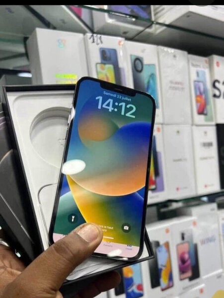 iPhone 12 Pro Max 256Go