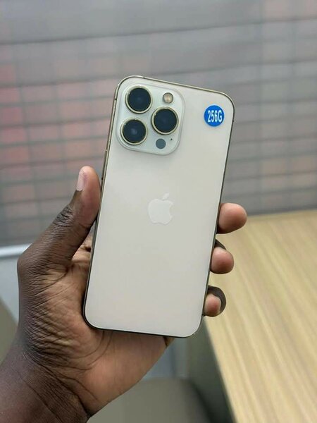 Smartphone Apple 256 Go