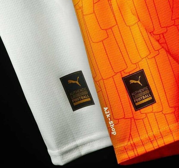 Maillot Côte d'Ivoire Puma