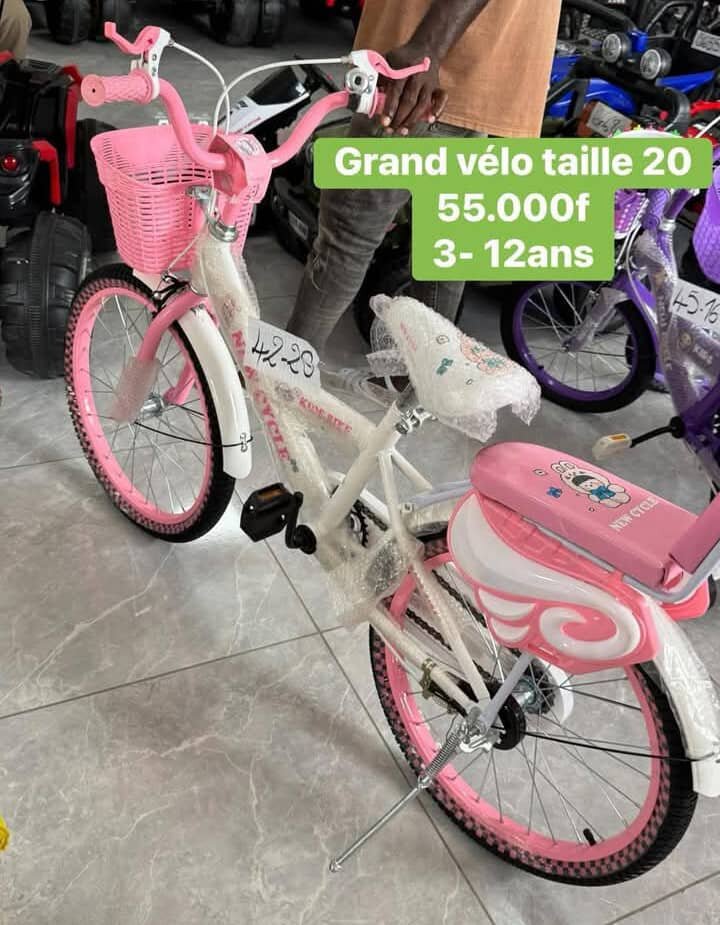 Vélo Enfant Rose 20 Pouces