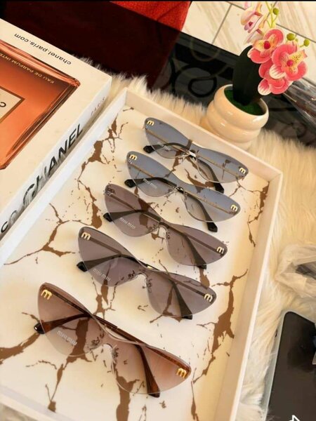 Lunettes de soleil élégantes