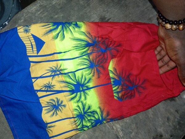 Shorts pour homme imprimer pal