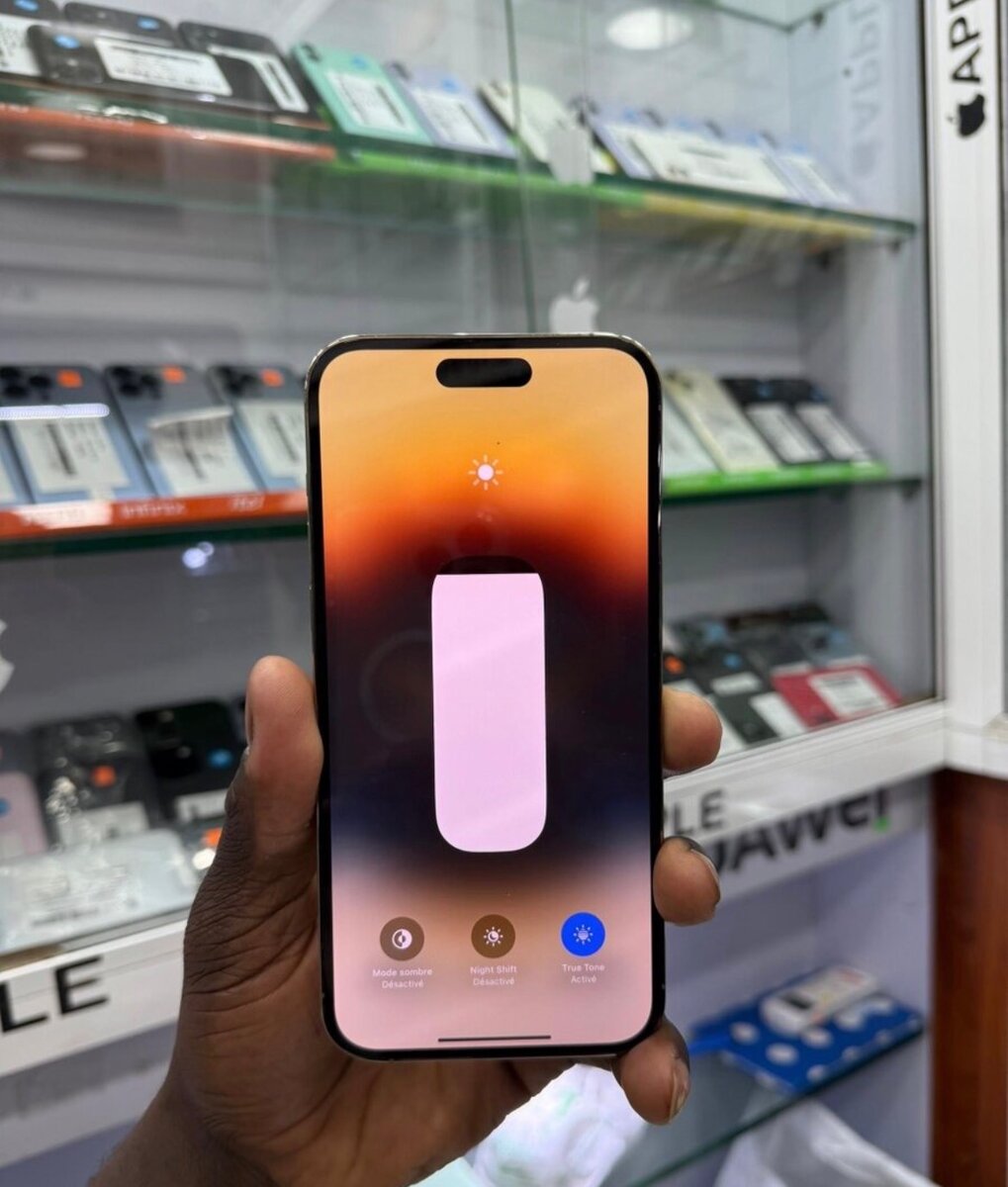 iPhone 14 Pro Max 256 Go