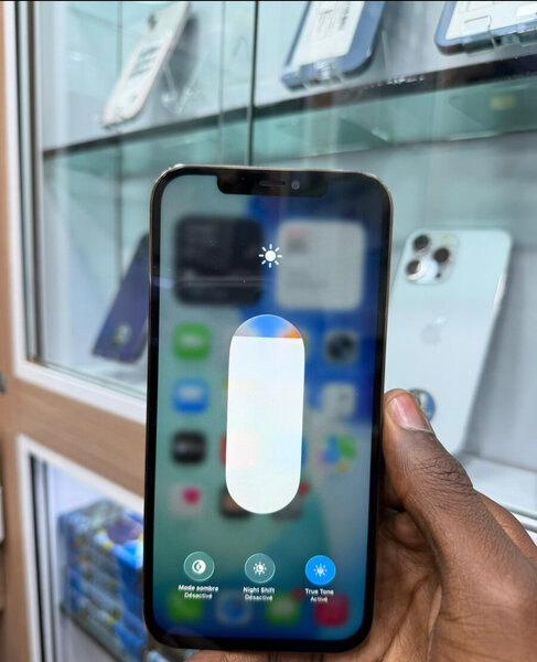 iPhone Pro Max reconditionné