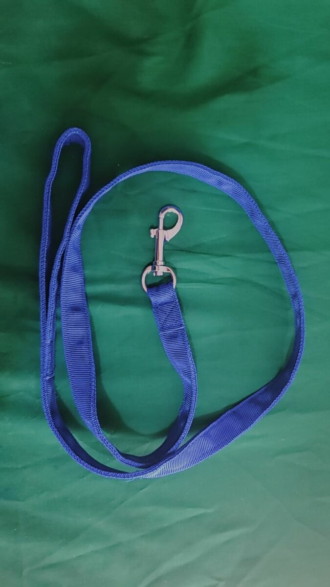 Laisse pour chien en nylon robuste