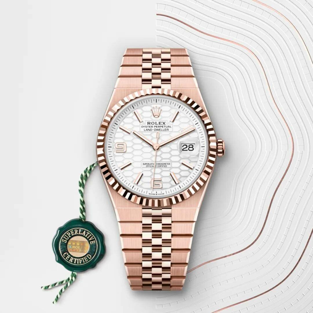 Montre Rolex Sky-Dweller
