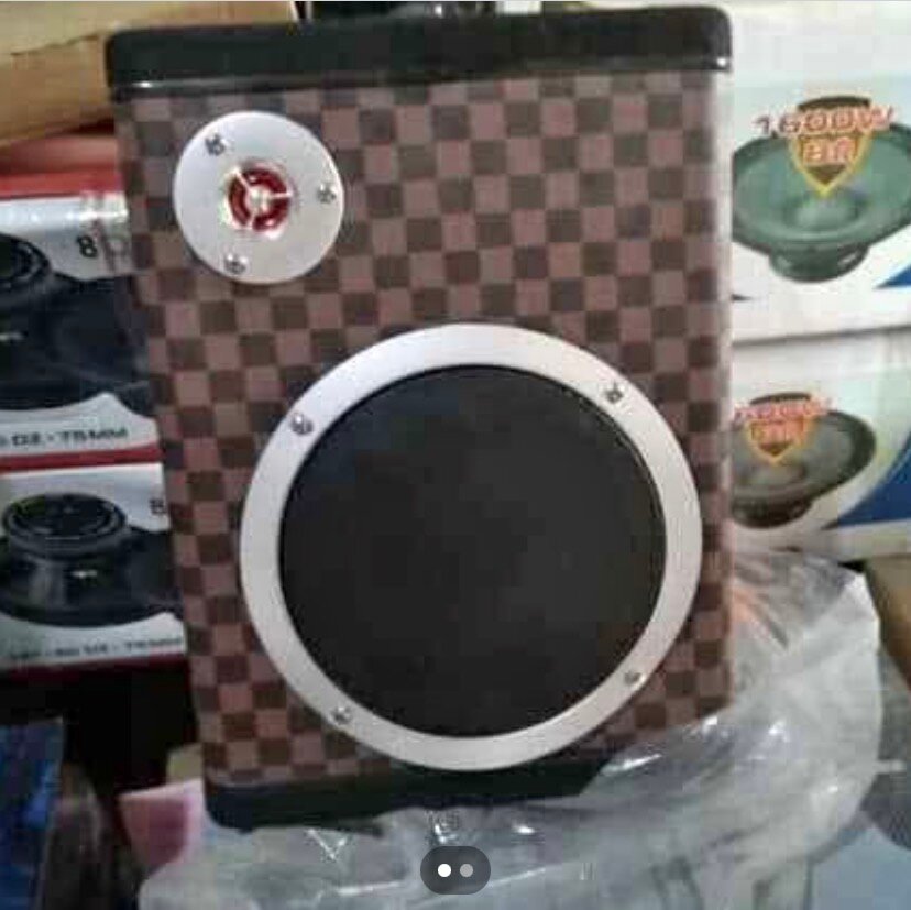 Enceinte Portable Puissante 1600W