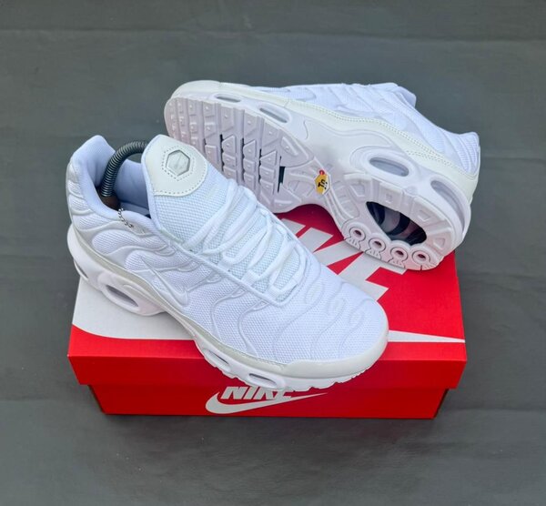 Nike Air Max Plus Blanc