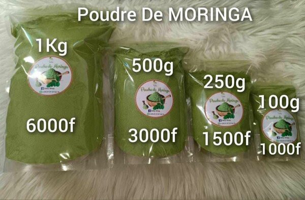 Poudre de Moringa