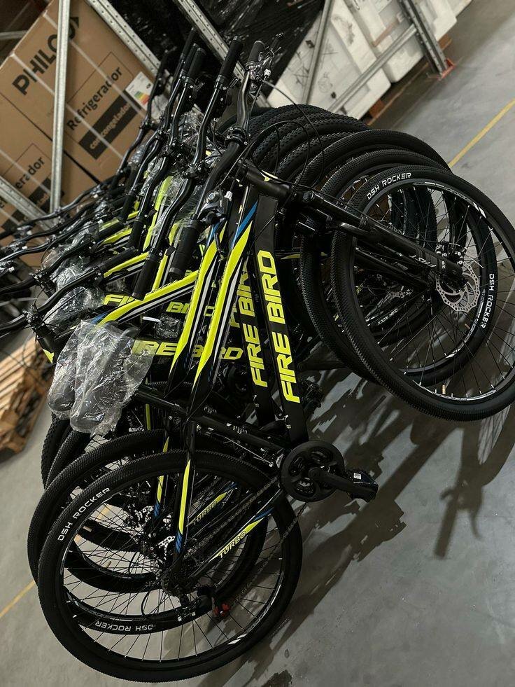 Vélo tout-terrain Fire Bird