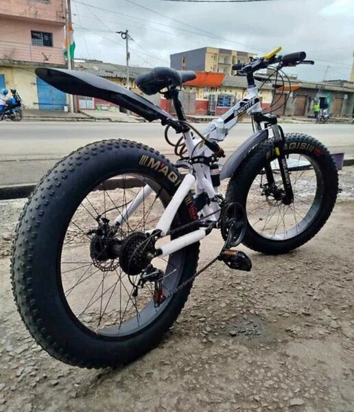 Vélo électrique tout-terrain