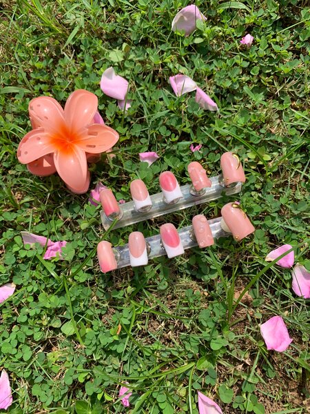 Ongles Press Roses Élégants