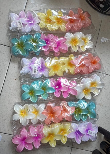 Pinces à cheveux fleurs colorées